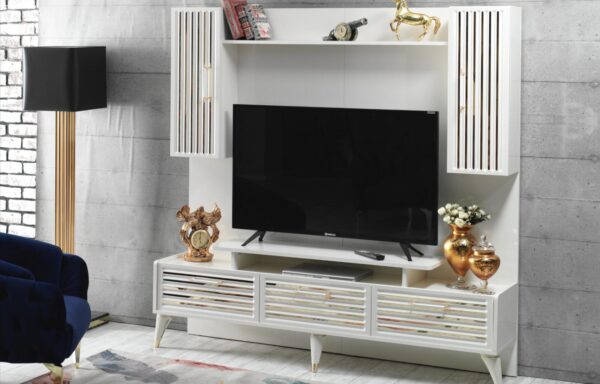 ZEN TV UNIT