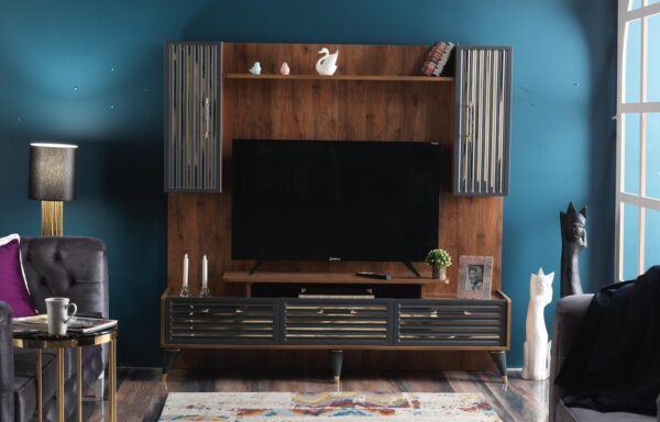 ZEN TV UNIT